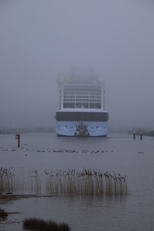 Am Samstagmorgen im Nebel kurz vor Weener. Foto: Christoph Assies